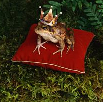 Journée mondiale du conte