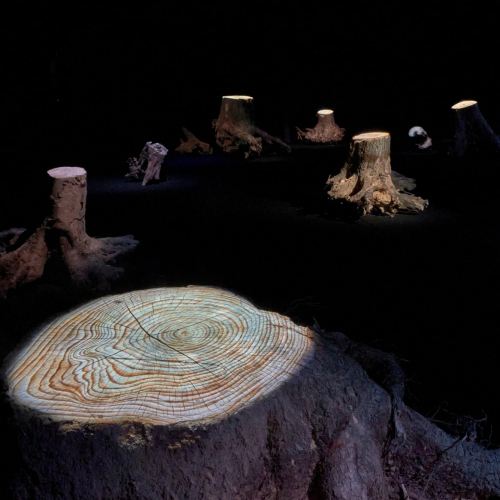 La Clairière envisagée