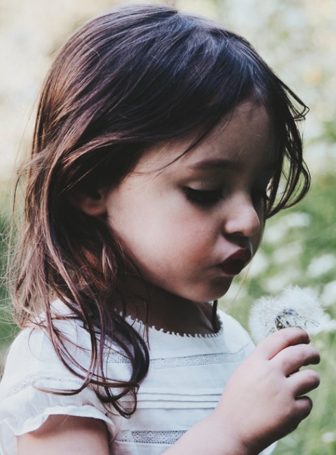 Le Printemps du Cap Martin