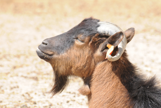 Moment de repos à Kid's Island
