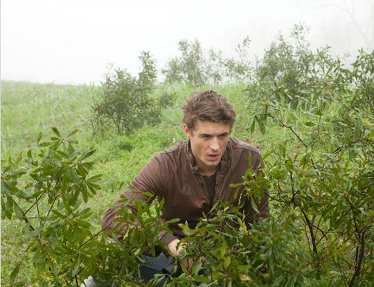 Les âmes vagabondes