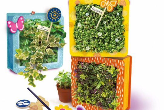 Mur végétal Clementoni