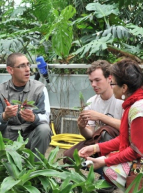 Plantation sous les tropiques