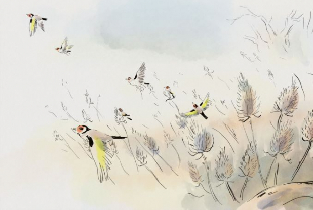 À vol d'oiseaux - Drôles d'oiseaux - envol