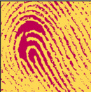 archives municipales de Lyon