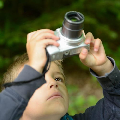 Photographes en herbe