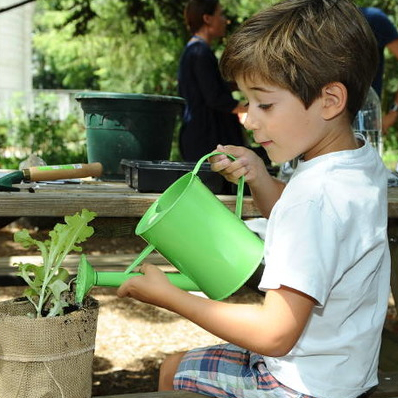 Jardins ouverts en Ile-de-France : Le petit écolo du champ à l'assiette