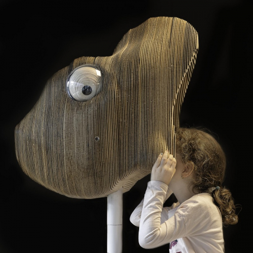 expo Zooscope - Musée d'Histoire Naturelle de Lille