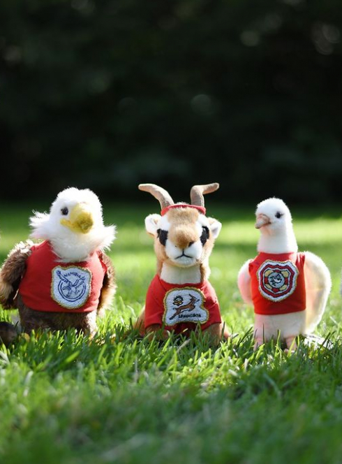 Expo Naturellement rugby au Muséum de Toulouse : mascottes