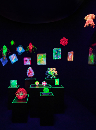 Expo Digital Abysses – Au coeur de l’océan
