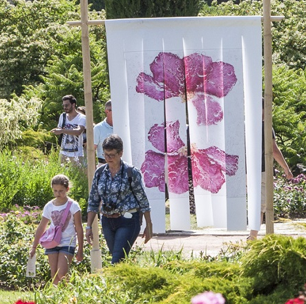 La_Rose_et_Le_Vent_Expo- (C) Nicolas Roux Dit Buisson