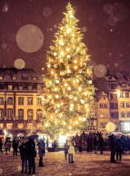 Place Kléber : le cœur de la capitale de Noël