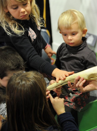 Semaine de la petite enfance à Toulouse - Muséum de Toulouse