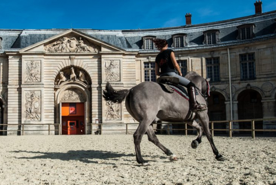 Académie équestre de Versailles - Carrière d'honneur
