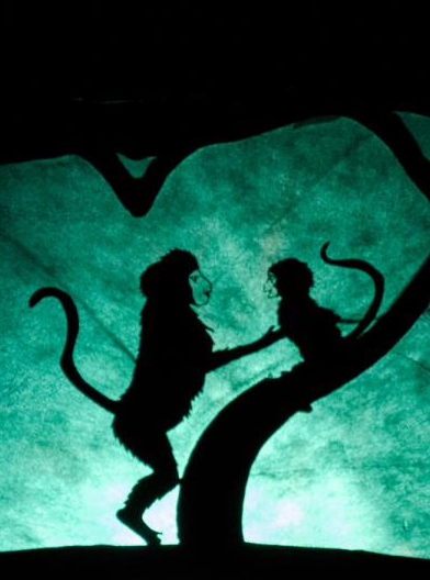 La petite musique de Makao