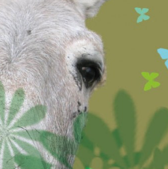 Kalifourchon - Cie Tintamarre et Boudeficelle