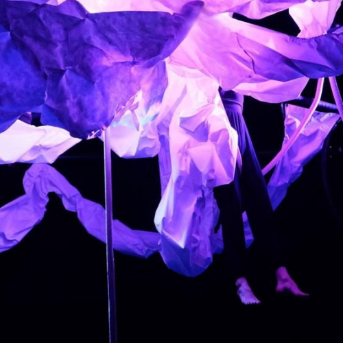 Nout - Le Cirque du Bout du Monde