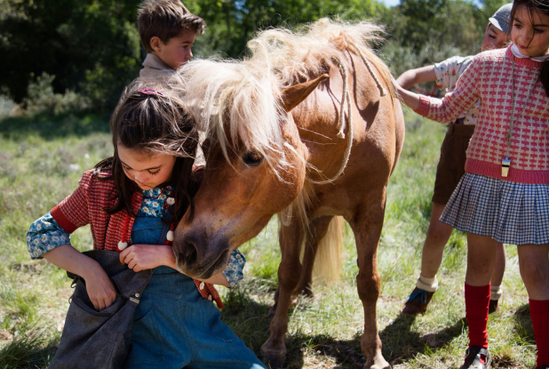 Poly : nourrissage du cheval