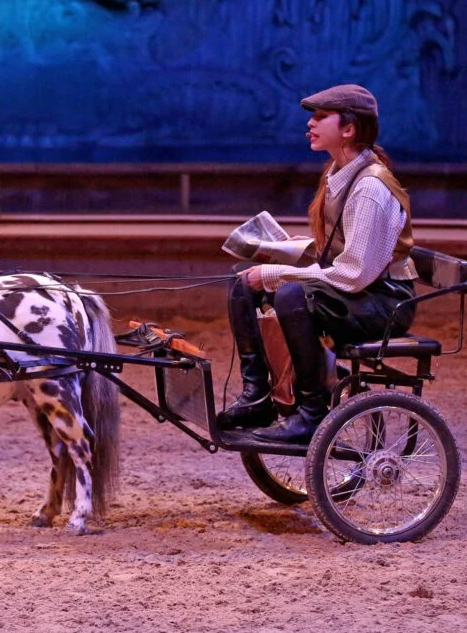 Un jour à Paris : spectacle équestre à Chantilly