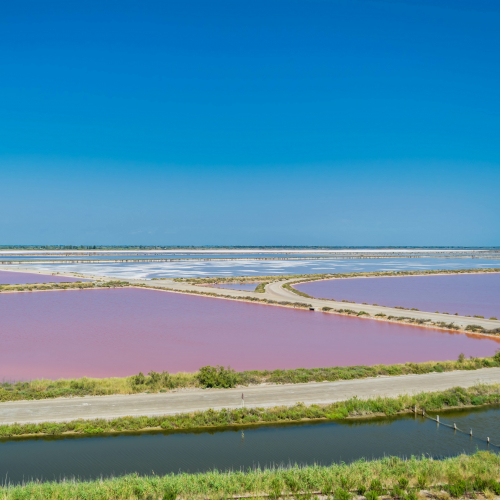 Piste cyclable de Sète à Aigues-Mortes