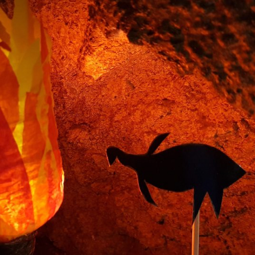 Cosquer Méditerranée fête Noël