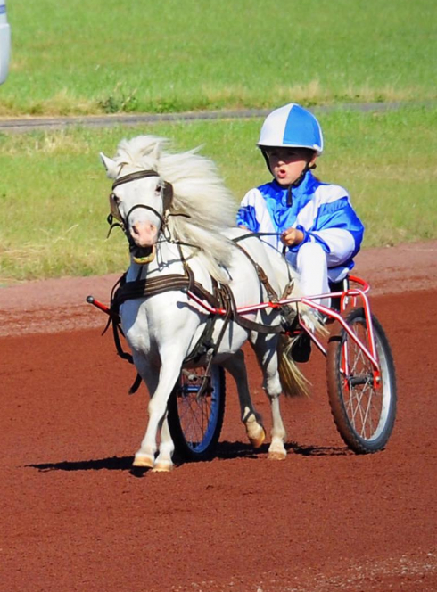 Grand National de Trot à Parilly 2017 : animations pour enfants