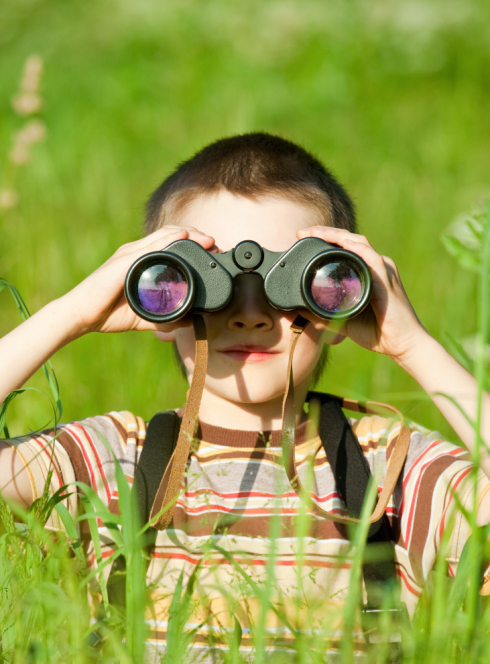 Observer des animaux sauvages en France