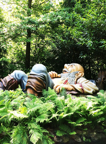 Balades contées en forêt