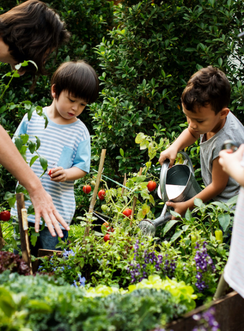 Lille aux Jardins : atelier enfants