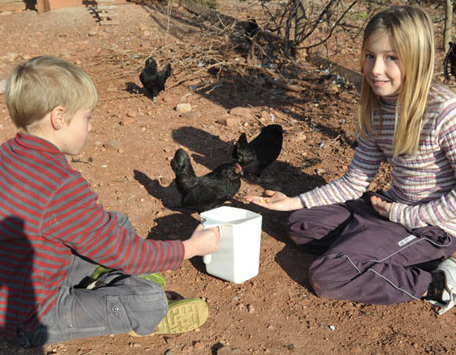 Conservatoire Varois des animaux de basse-cour