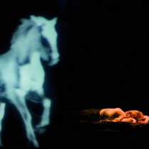 La belle et la bête