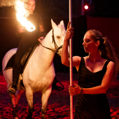 Arts du feu Ecomusée d'alsace