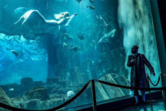 Aquarium de Paris - Cinéaqua