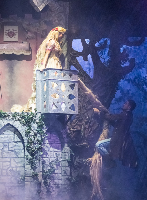 Raiponce et le prince aventurier - Guillaume Bauchède