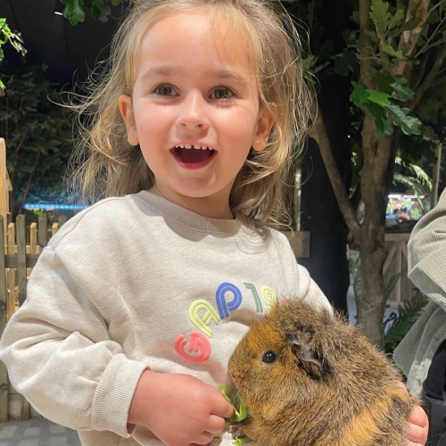 Le Monde de Noé Paris Montparnasse