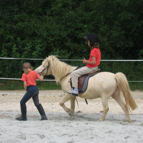 Stage équitation enfants