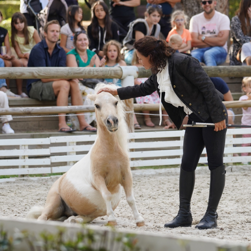 Le Haras de la Vendée