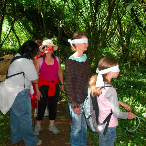 Balade sensorielle à Saucats