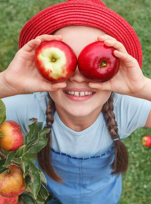 Cueillette en famille : Une famille récolte des cerises