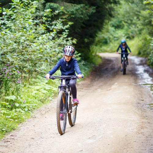 Balades à vélo à Fontainebleau (Paris) en famille en forêt