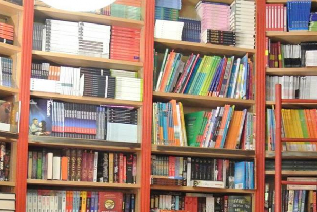 L'Emile - Bibliothèque avec échelle