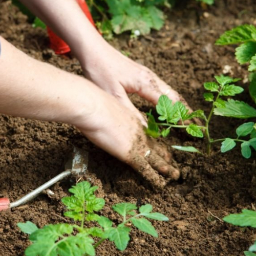Maison de l'Environnement à Nice