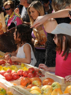 Festival de la Tomate de Clapiers