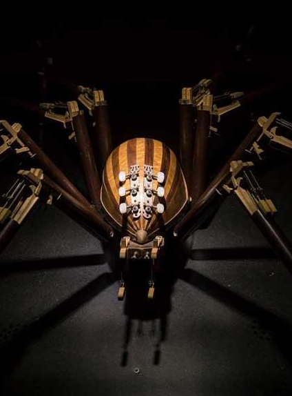 Exposition Anima(ex)musica : Une araignée musicale