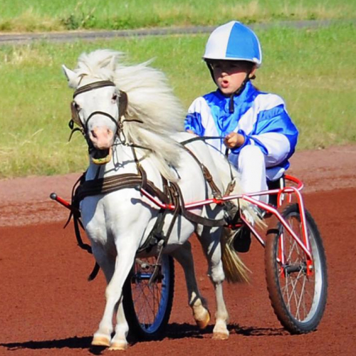Grand National de Trot à Parilly 2017 : animations pour enfants