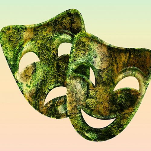 Festival Plateau Vert 2020