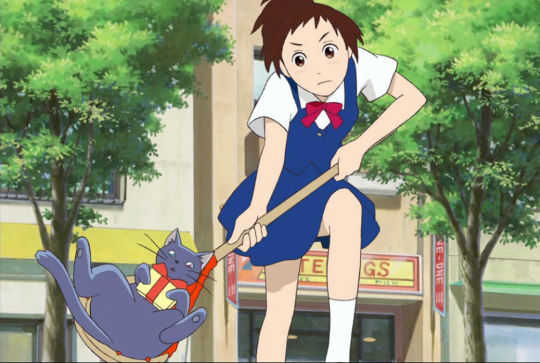 Le Royaume des chats