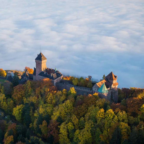 Exposition Par'chemins et châteaux