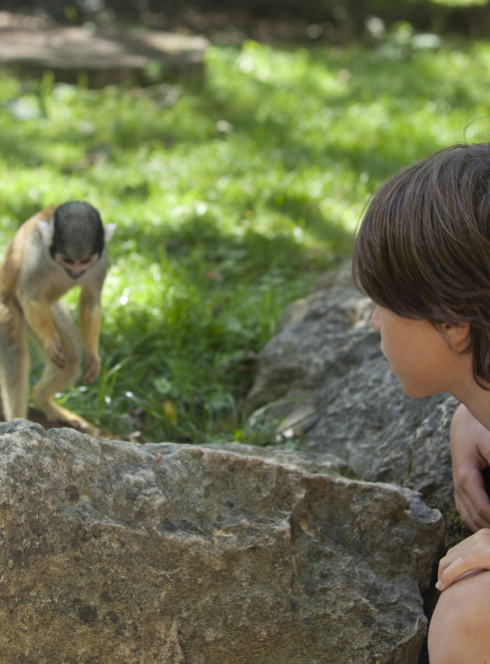 La Vallée des singes : en famille