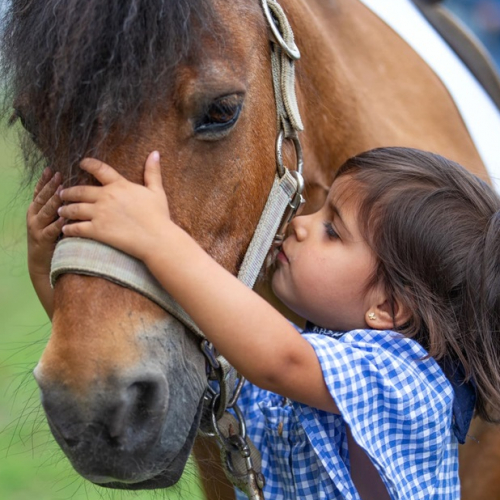 Les Chevaux dans la Ville